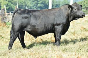 TJB 914U Valero 4119C-ET